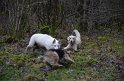 Wandertag 2016 - 094